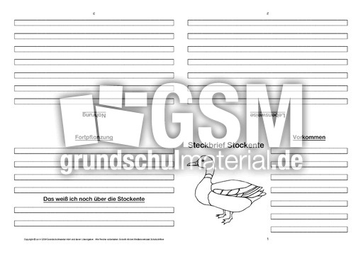 Stockente-Faltbuch-vierseitig-1.pdf